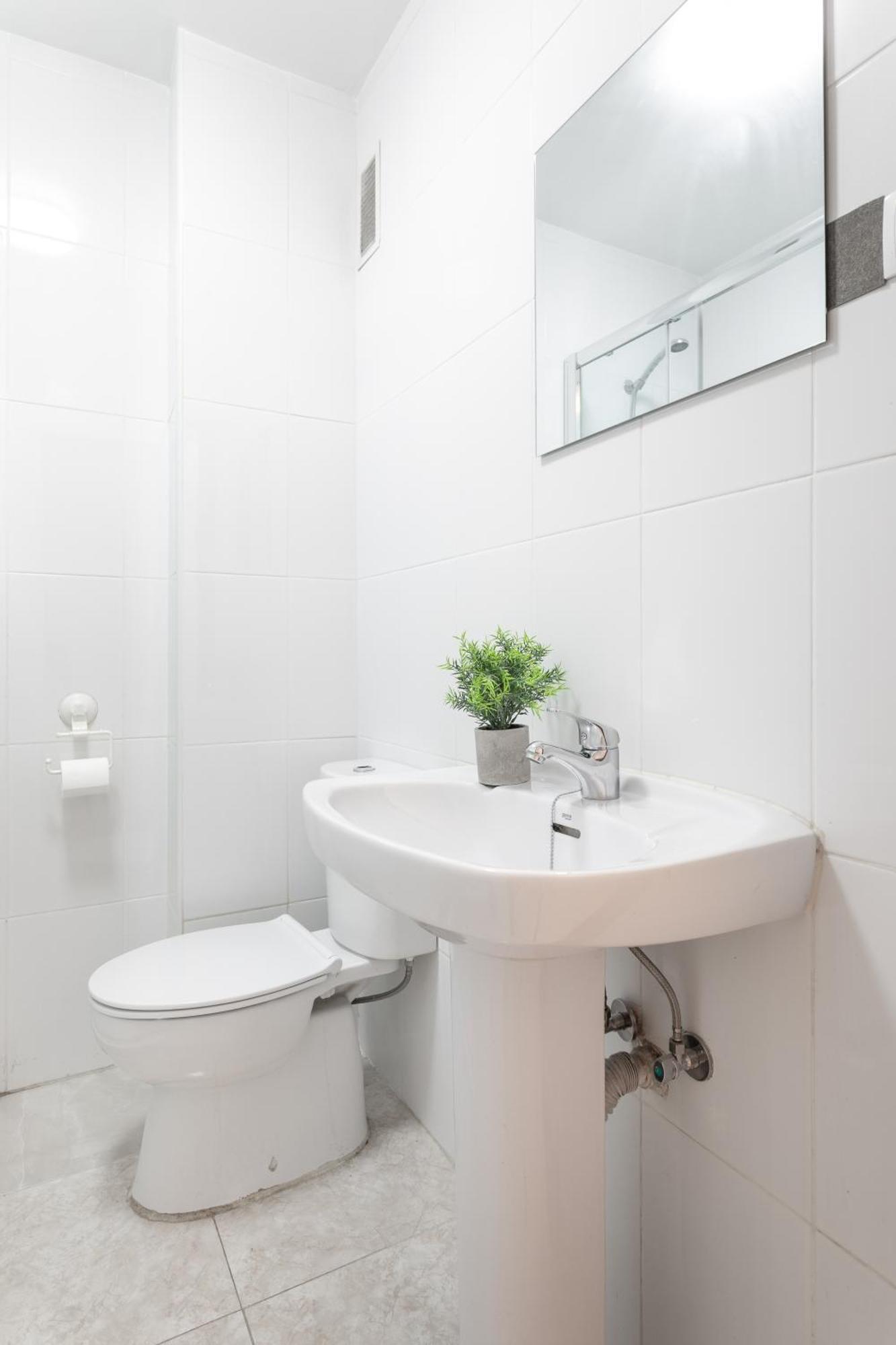 Santos Medicos, Centrico Apartamento Casco Antiguo Alicante Esterno foto